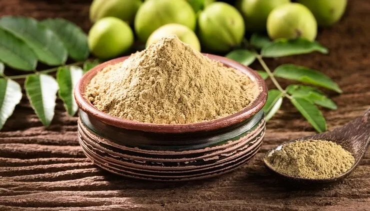 Herbal Amla Juice For Thick Shiny Hair 1