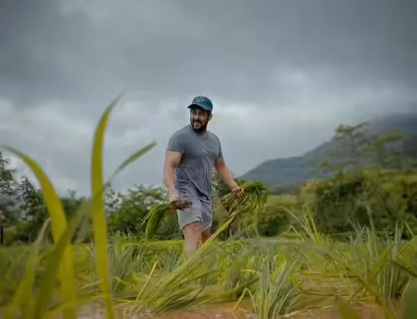Salman Khan farm house 2