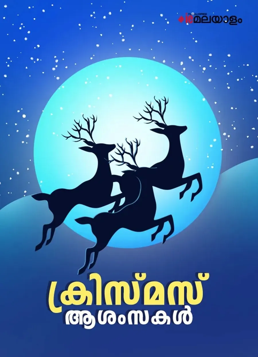 Christmas 2025 Wishes 5