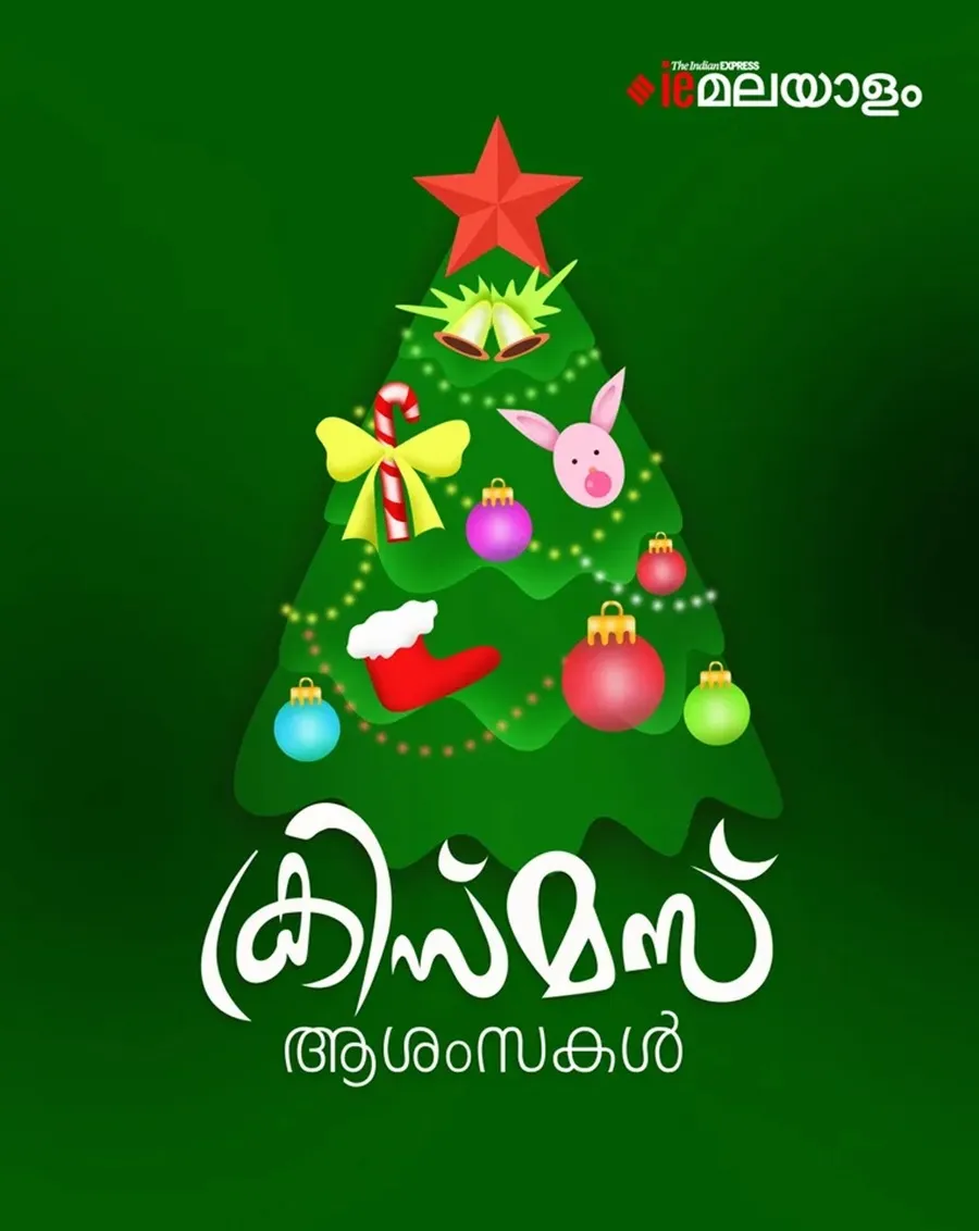 Christmas Wishes 2025  2