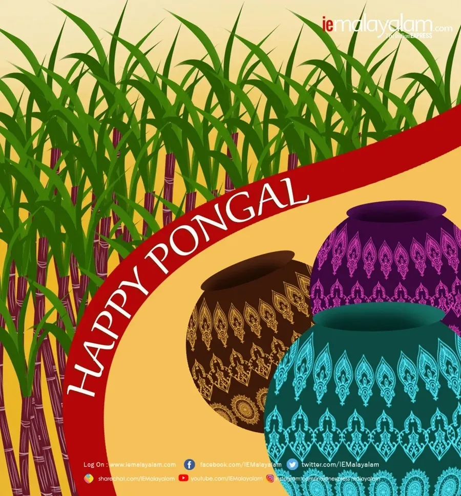 Happy Pongal 1