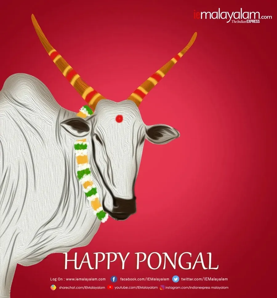 Happy Pongal 2