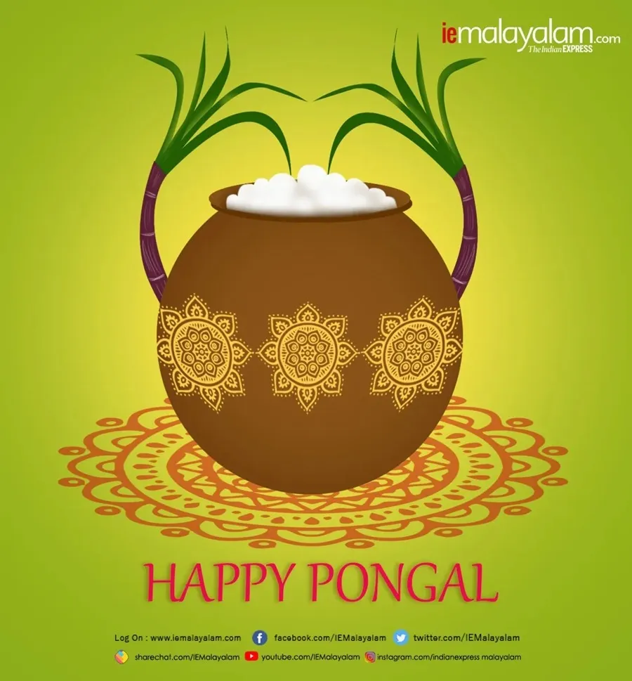 Happy Pongal 3