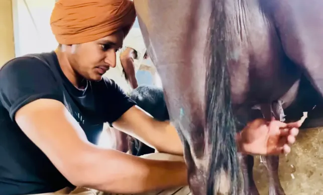 Sohalpreeth Singh Punjab Dairy Farmer