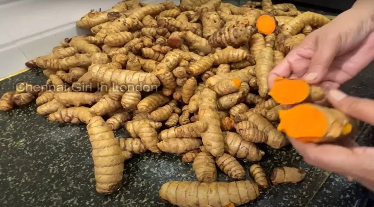turmeric
