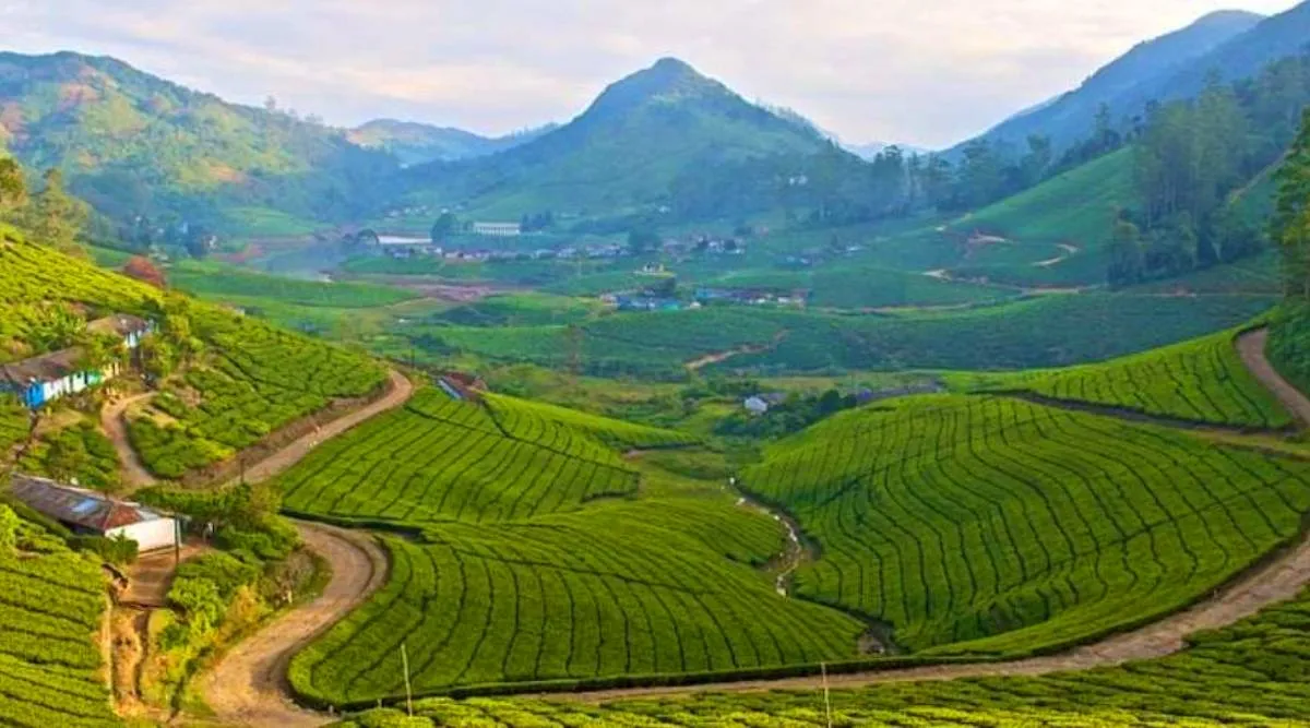 Kodaikkanal poombarai 2