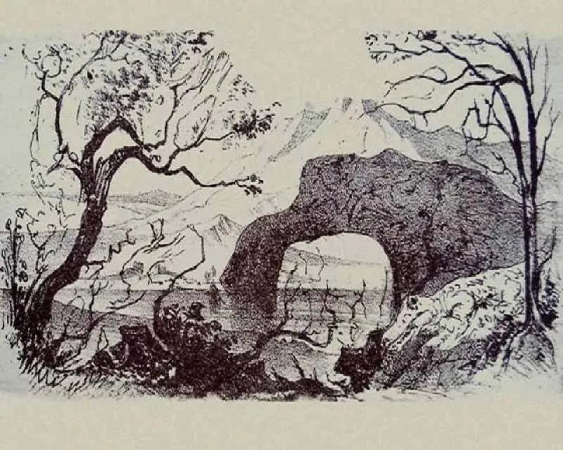 animals count boy 2