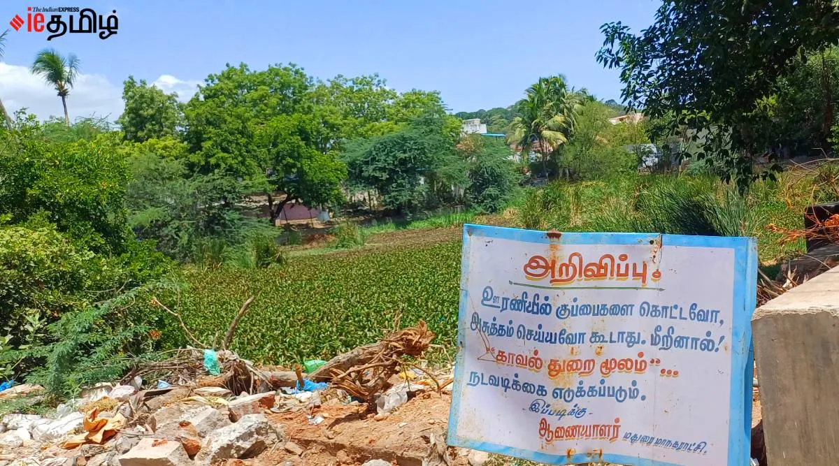 Madurai pond 3