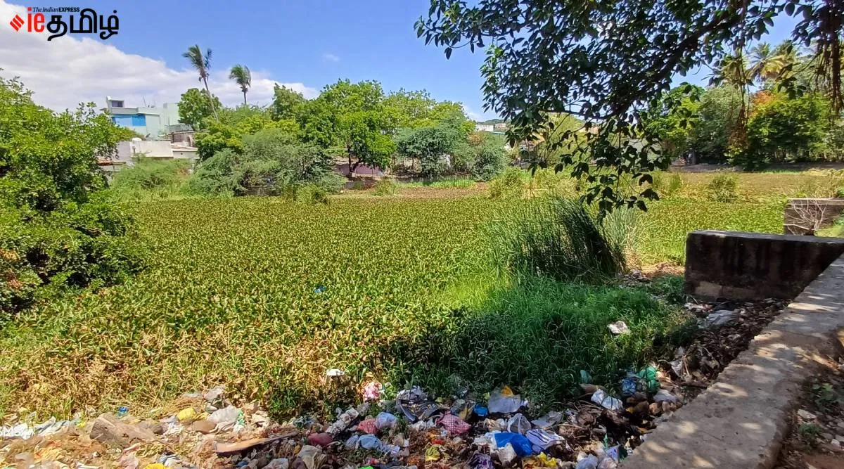 madurai pond 4