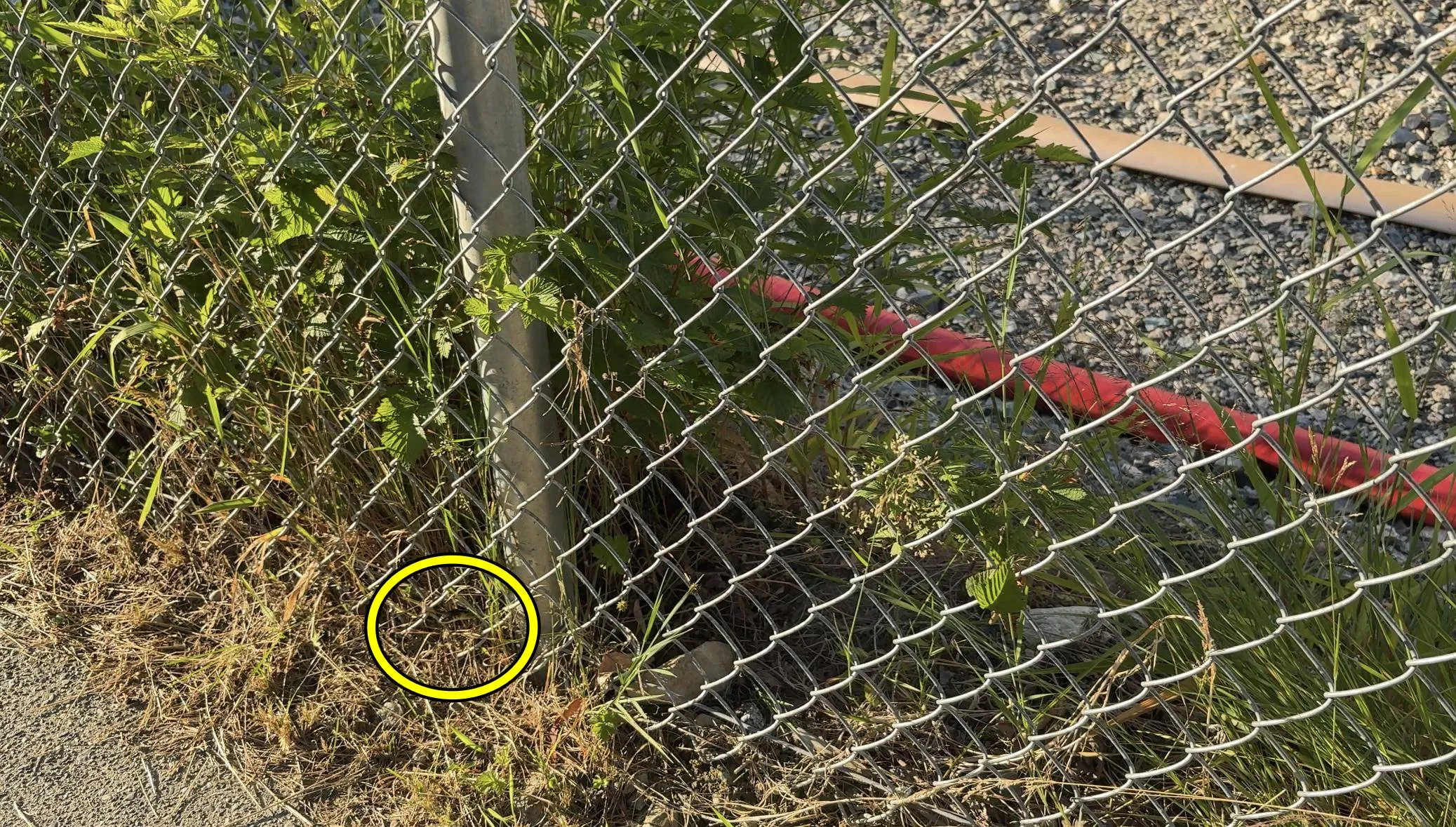 Snake fence 3