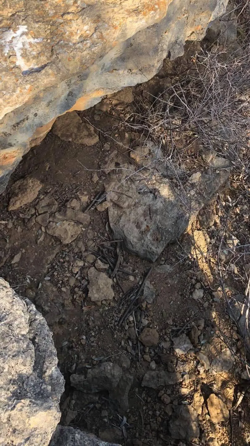 Snake rock 2