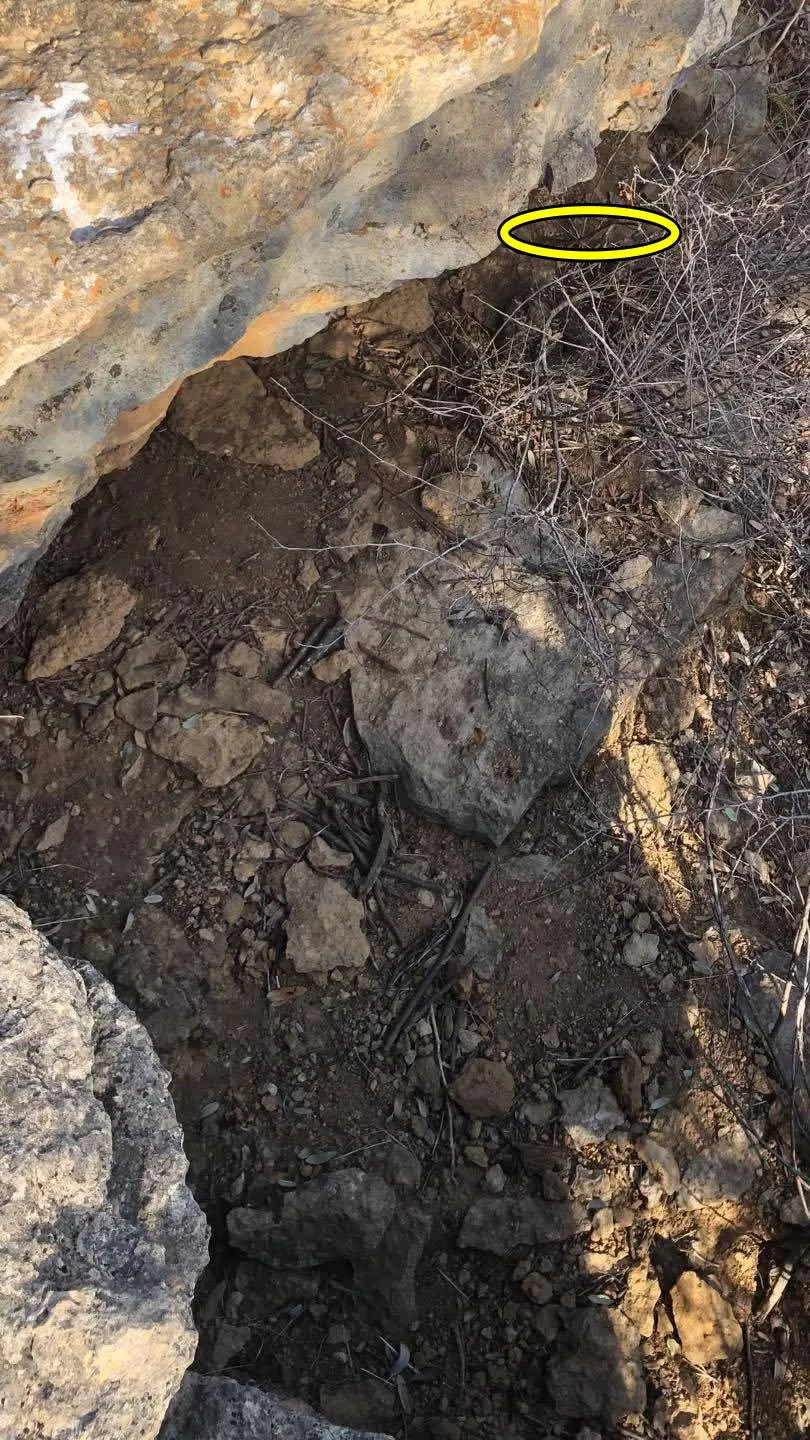 Snake rock 3