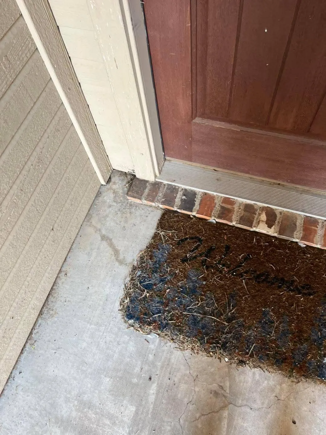 Snake doorstep 2