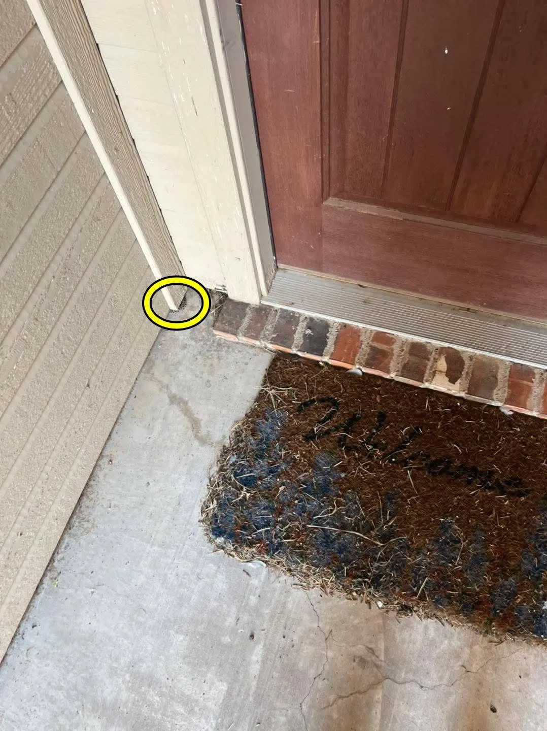Snake doorstep 3