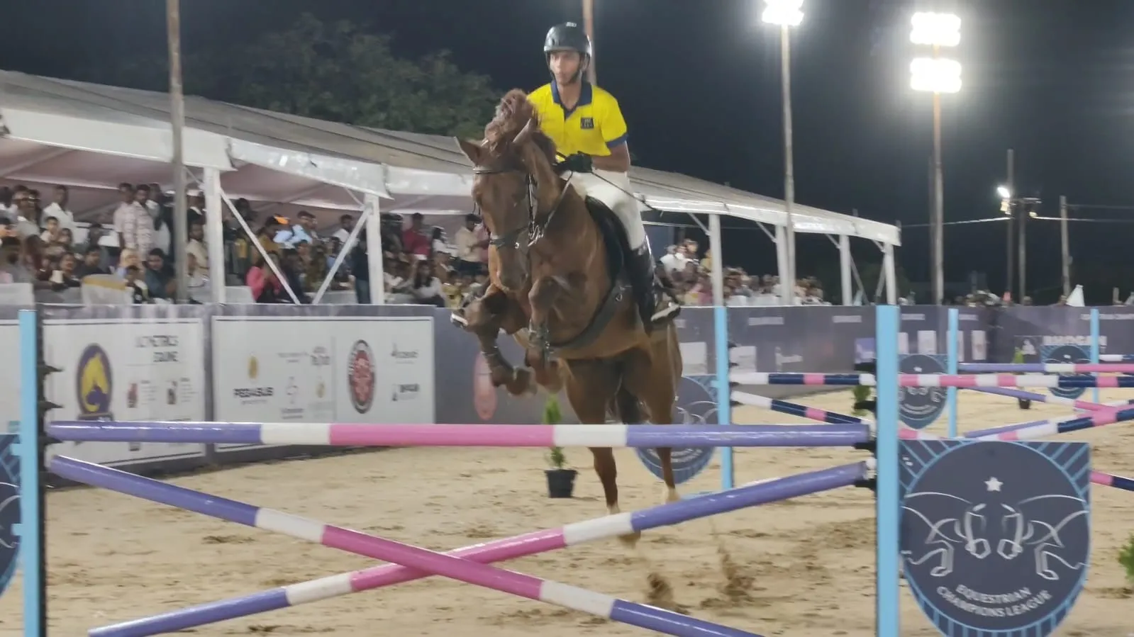 horse