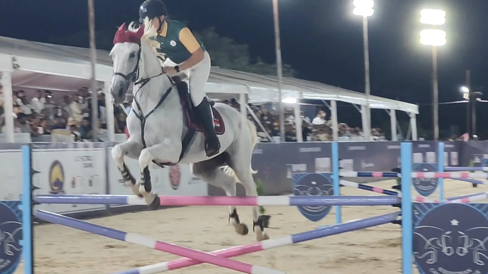 horse