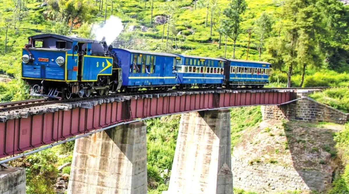 nilgiris