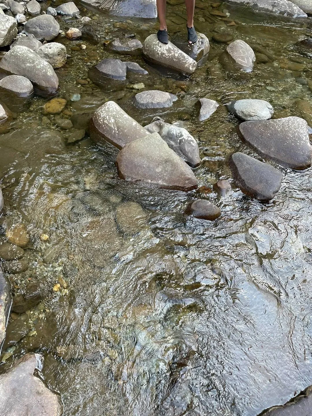 Snake water 2