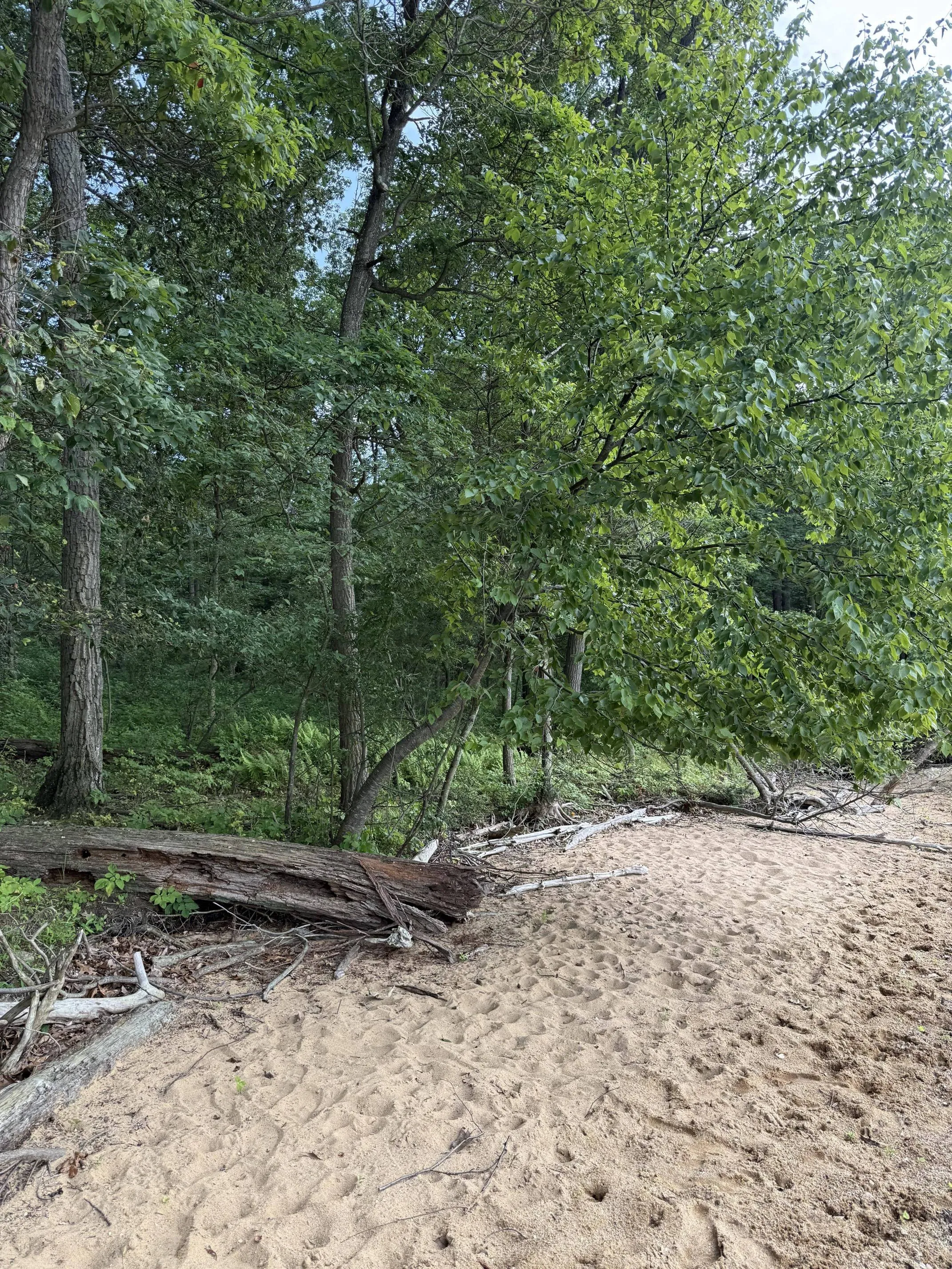 spot dangerous snake 2