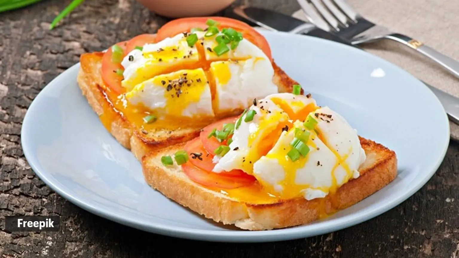 egg food
