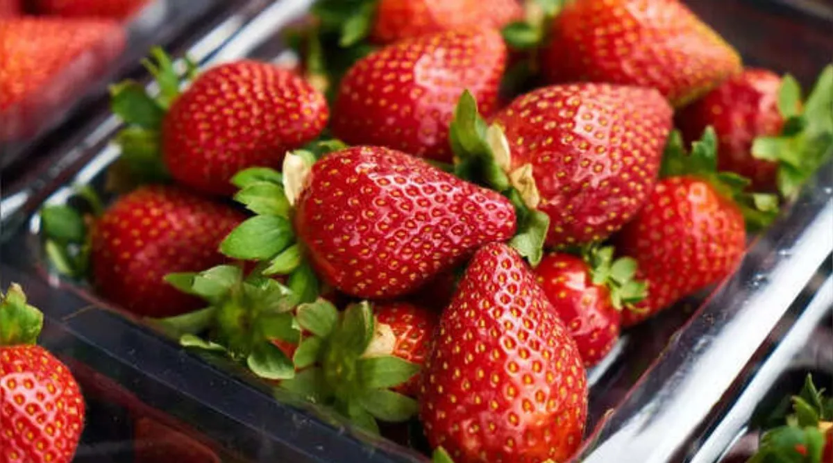 Strawberry