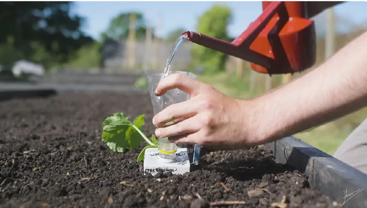 Garden hacks