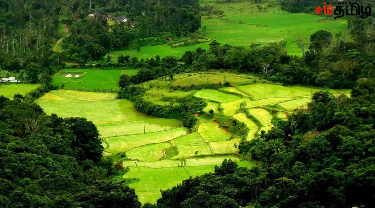 Coorg