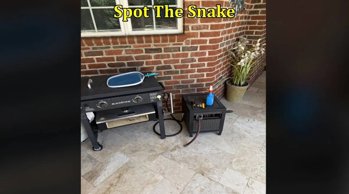 Snake home 1