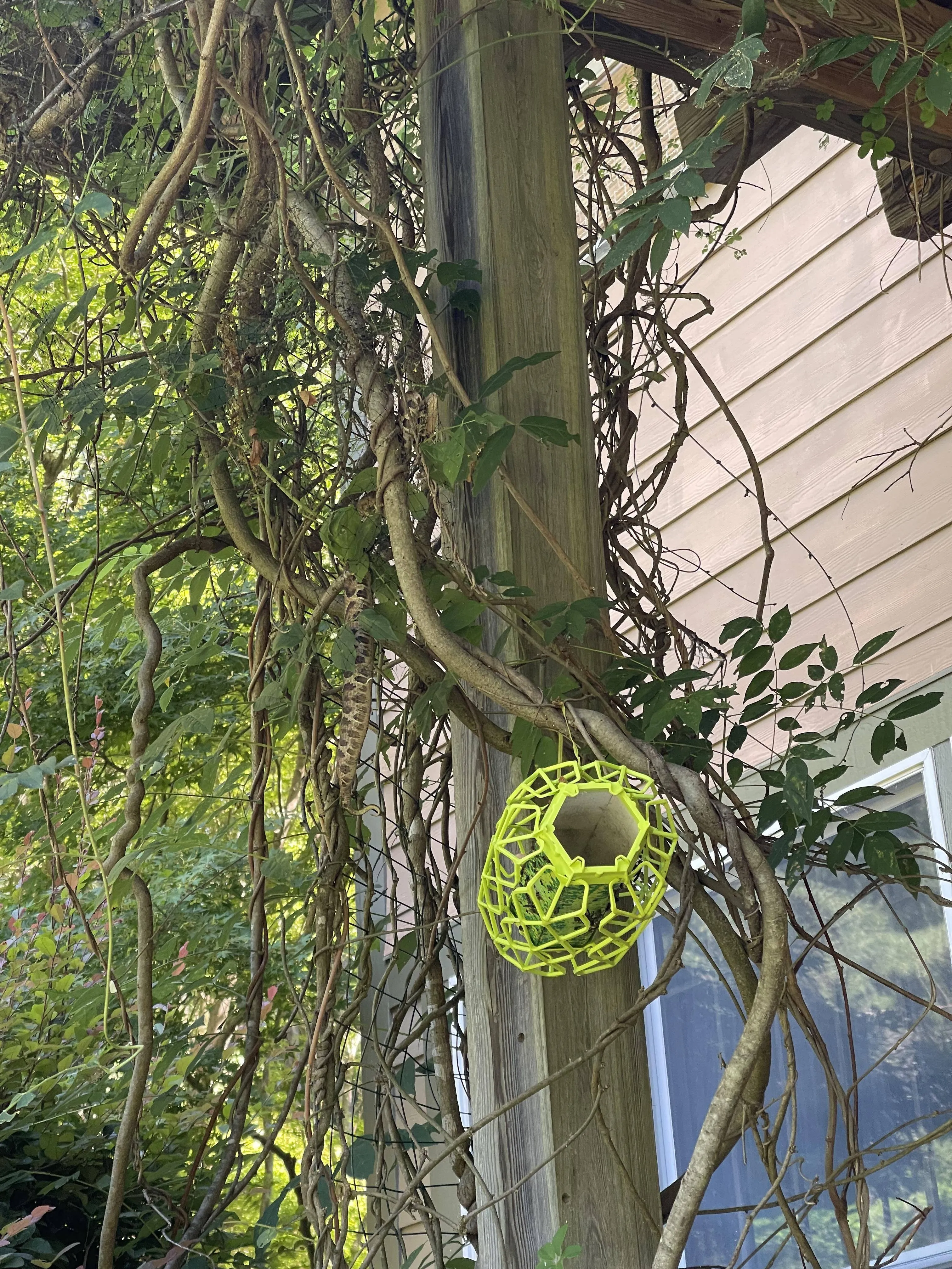Snake find 2