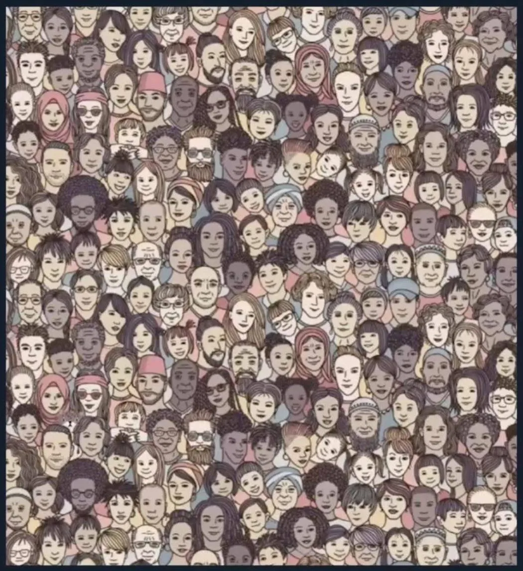 Find Cat 2