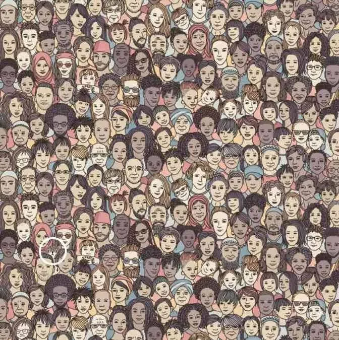 Find Cat 3