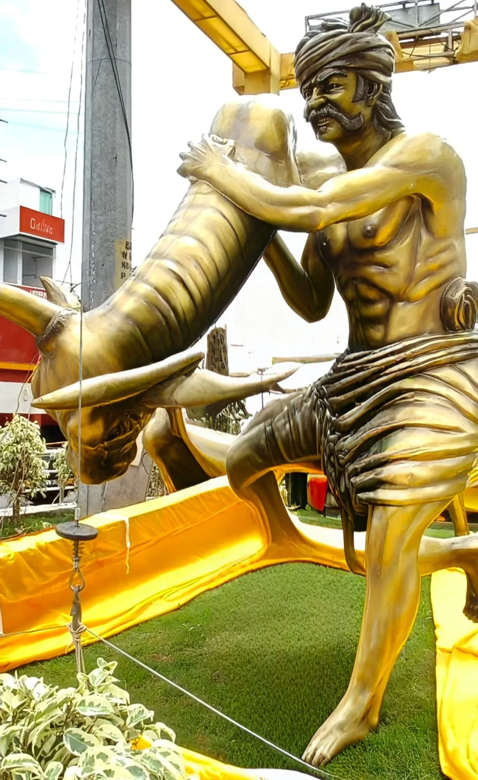 Jallikattu 6