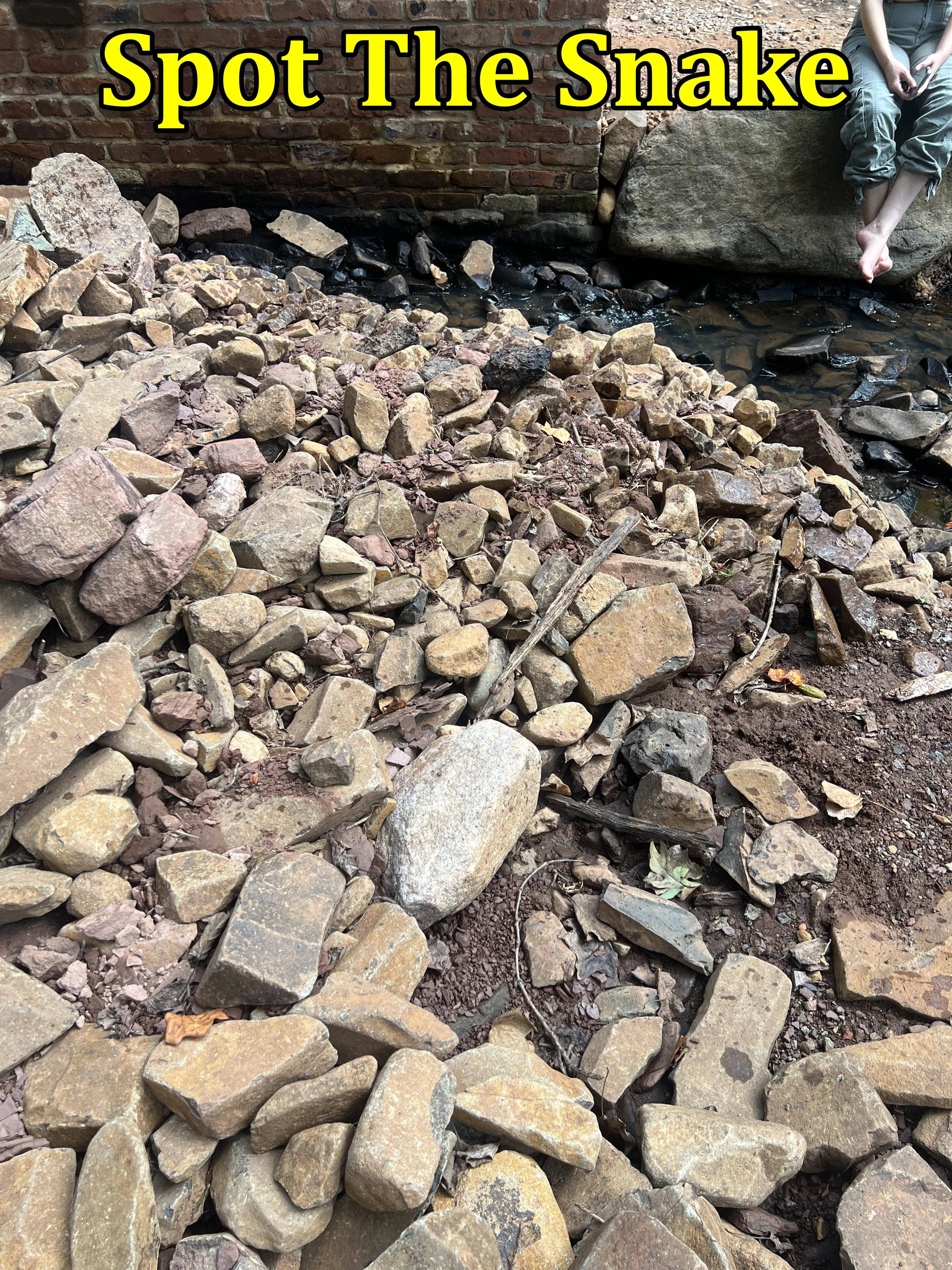 Snake stone 3