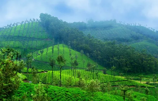 valparai