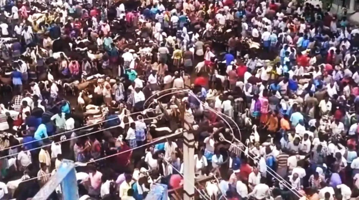 Thirumangalam goat market 5