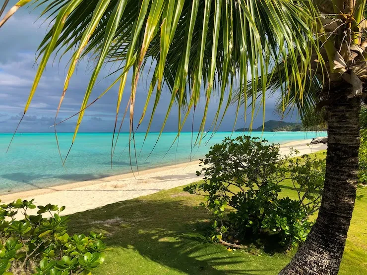 beautiful-shot-tropical-turquoise-beach_181624-29373