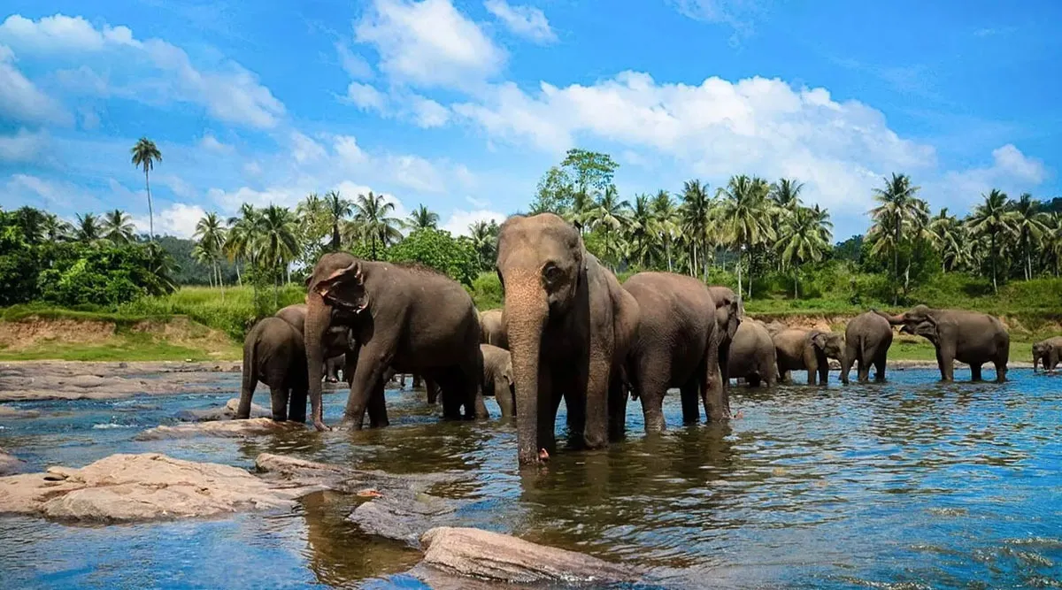 sri lanka