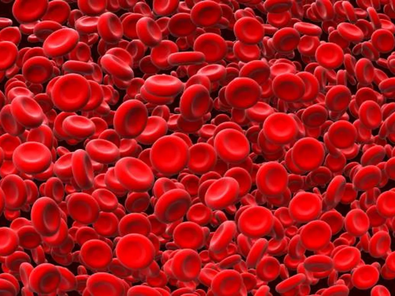 blood
