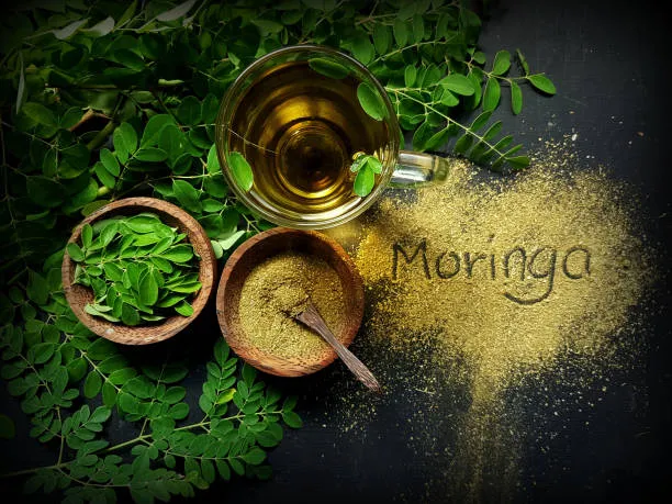 moringa