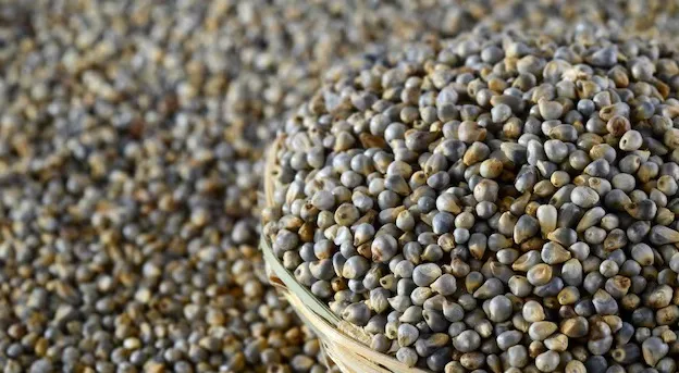 Millet cooking hacks