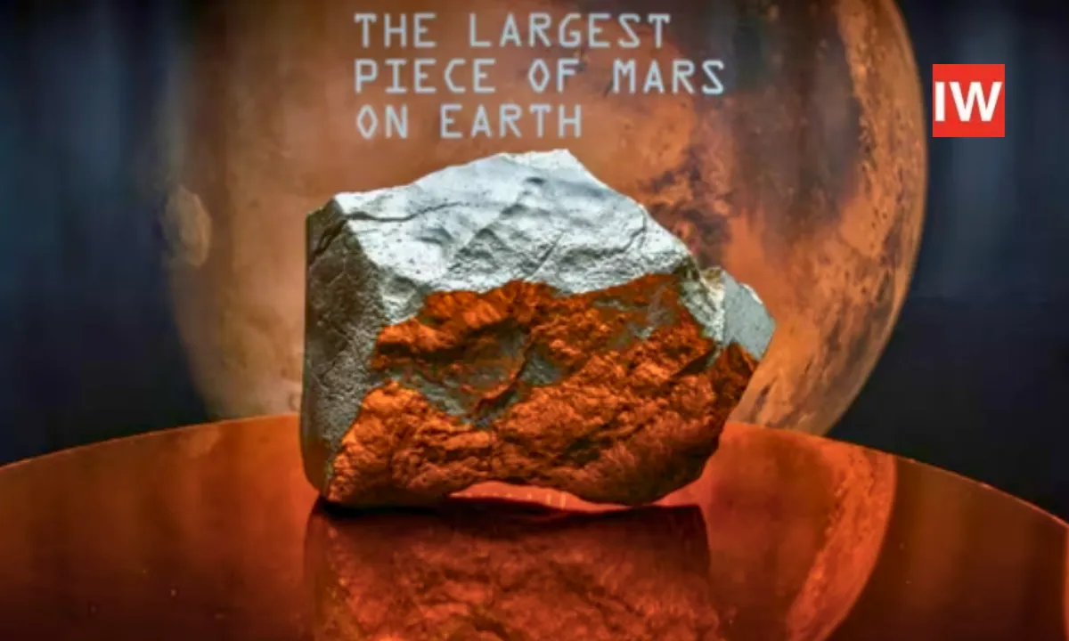 Biggest Piece Of Mars on Earth Up for Auction in New York-  A Cosmic Treasure Hunt