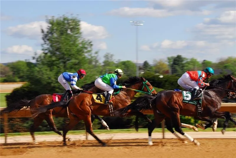 2025 Eddie Read Stakes Preview