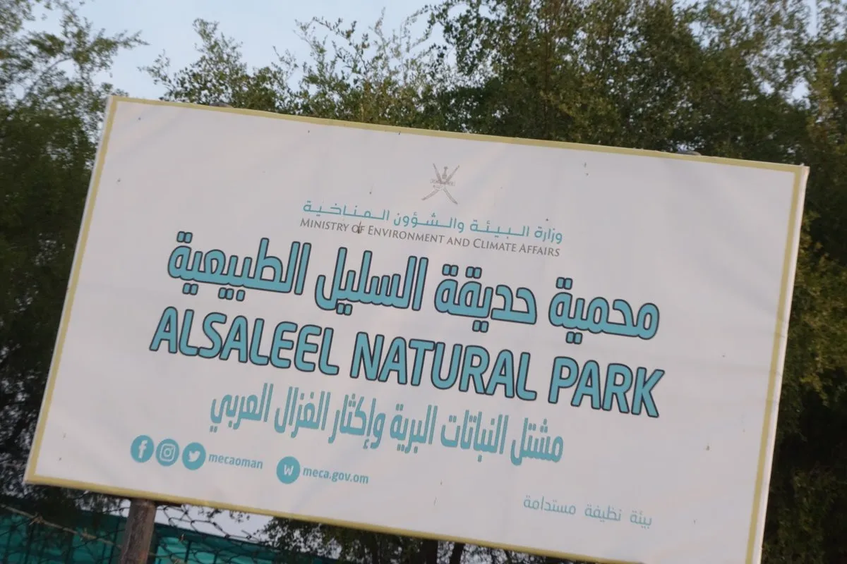 WhatsApp Image 2026-02-04 at 5.13.21 PM