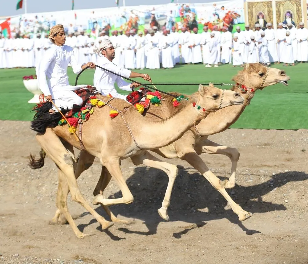 WhatsApp Image 2026-02-05 at 11.26.55 AM