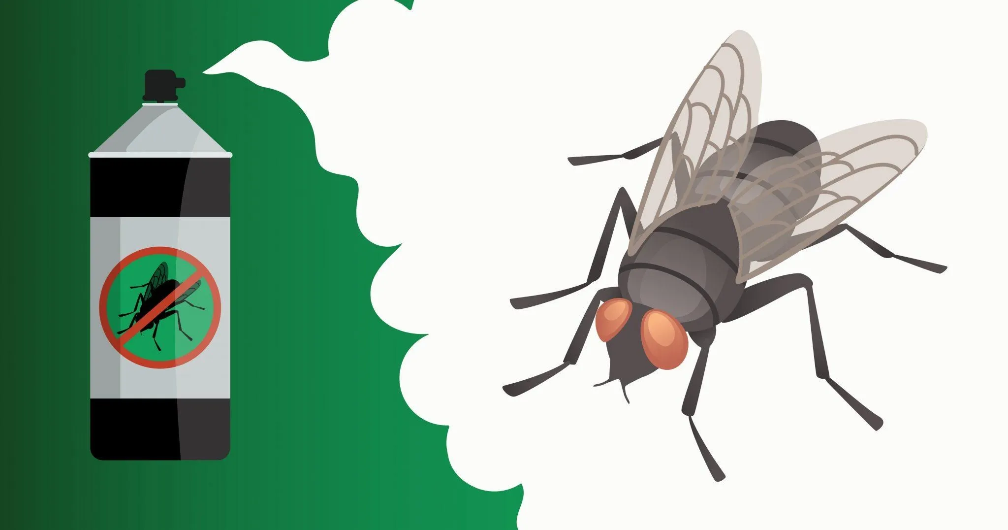 Flies-scaled