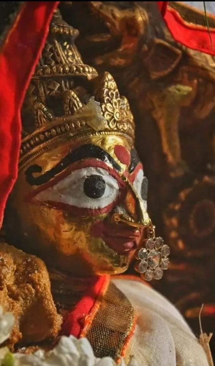 maa