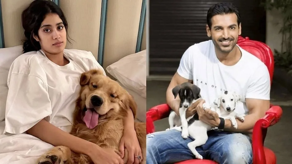 celebs-reacts-on-s