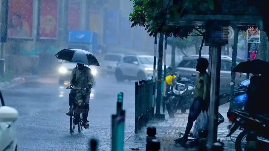 rainimage