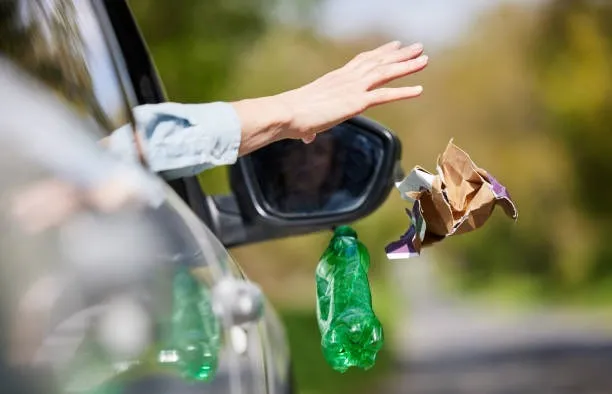 Car Garbege
