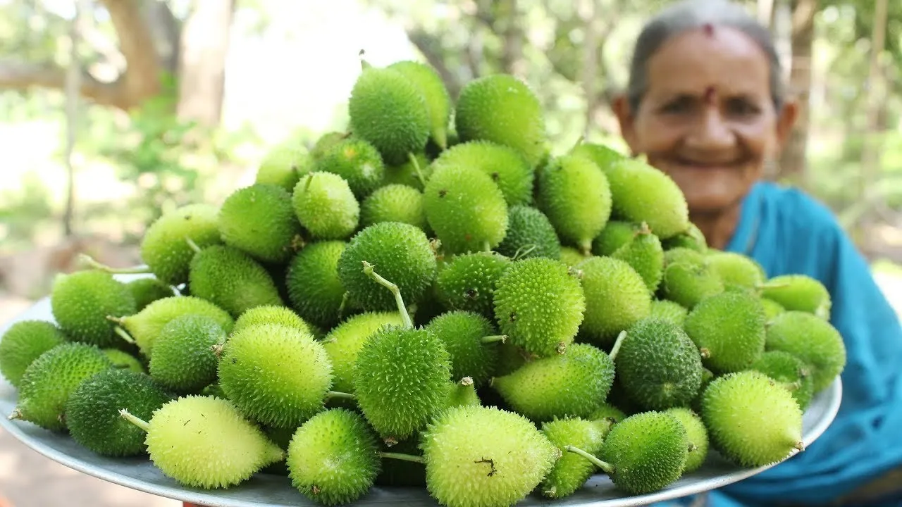 Spiny gourd